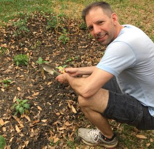 Peter Wilkins made this